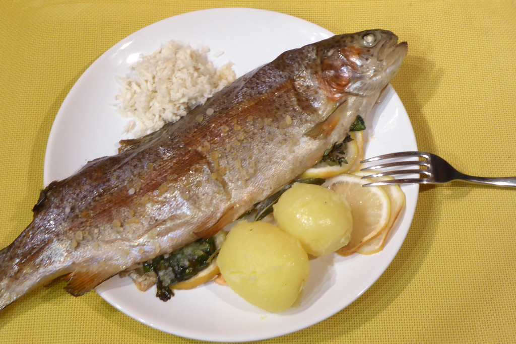 Duhový pstruh s bylinkami a křenem